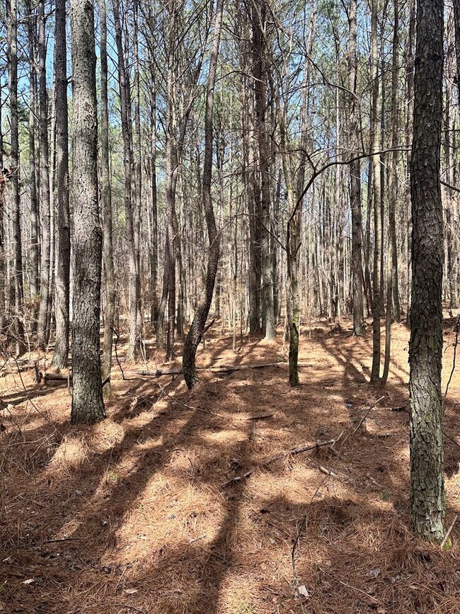 0 Autry Rd SW unit 414481, Plainville, GA 30733 - photo 4