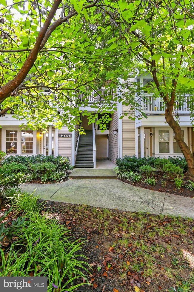4546 28th Rd S unit A, Arlington, VA 22206 - photo 5