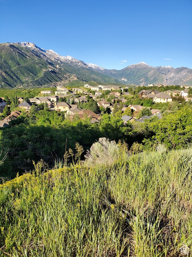 View of mountain background featuring nearby suburban area