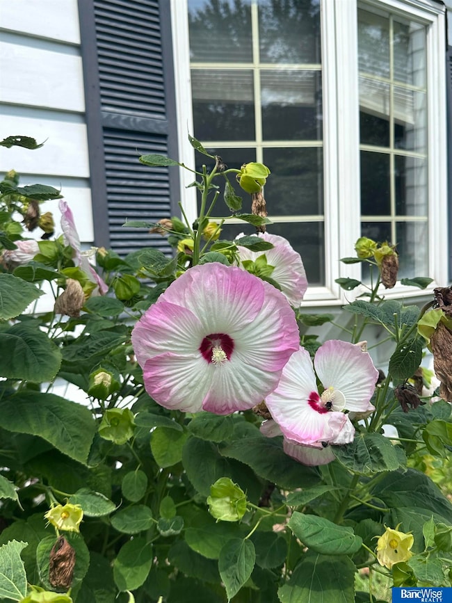 1207 8th St, Aurora, NE 68818 - photo 6