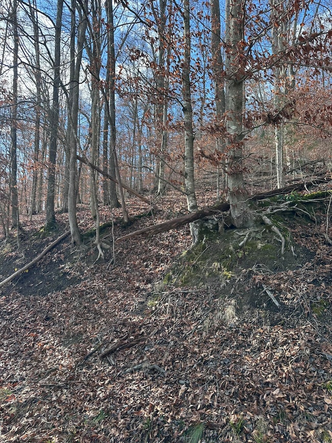 TBD N Fork Rd, Patsey, KY 40380 - photo 4