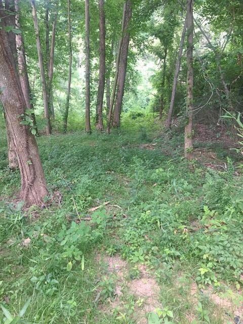 0 Dailey Loop unit RTC1839487, Linden, TN 37096 - photo 3