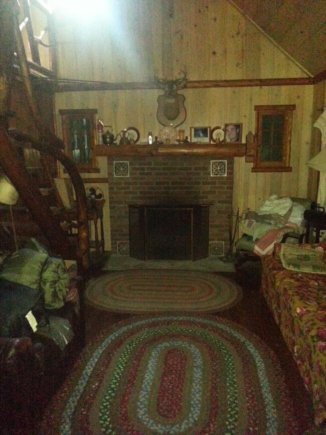 Log Cabin Living Room Fire Place