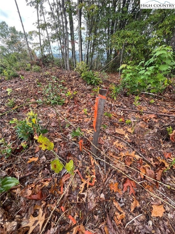 Tract 6 Cabin Creek Rd, Hays, NC 28635 - photo 6