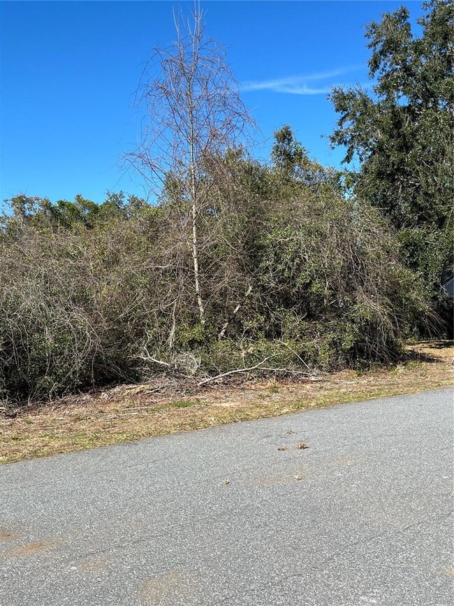 TBA SW 161 Loop, Ocala, FL 34473 - photo 4