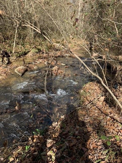 Lot 95 Cedar St, Ellijay, GA 30540 - photo 2