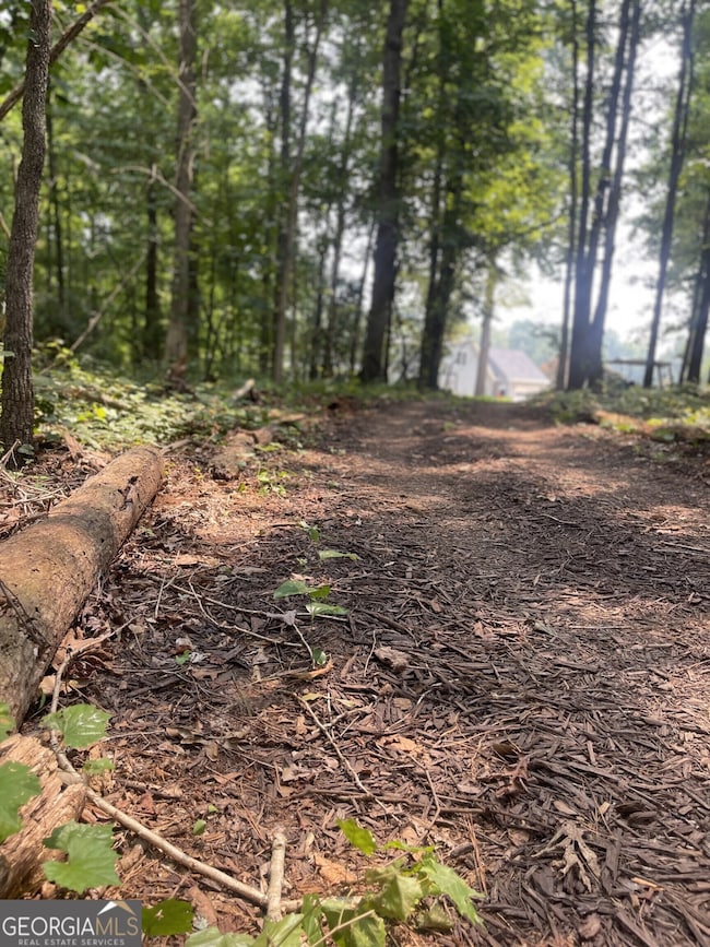5447 Winder Hwy, Braselton, GA 30517 - photo 6