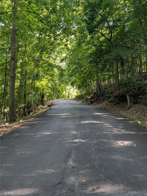 16501 Meadow Hawk Dr, Glencoe, MO 63038 - photo 4