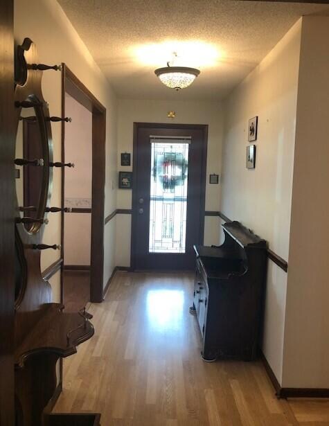 tom pic front hall-door