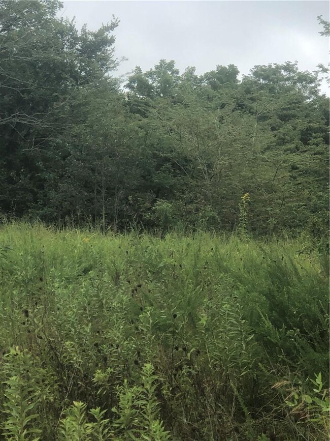 1.89 AC Baker Mountain Rd, Prairie Grove, AR 72753 - photo 4