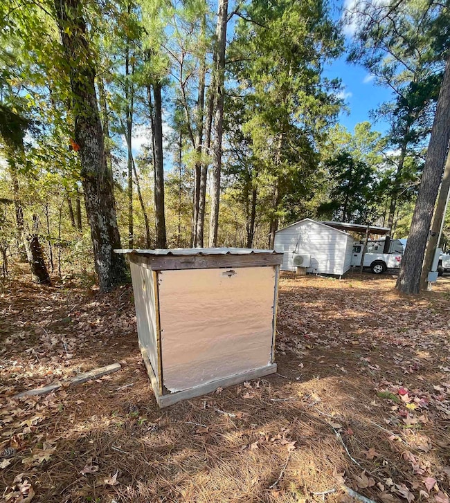 10957 Arkansas 160, Doddridge, AR 71834 - photo 4