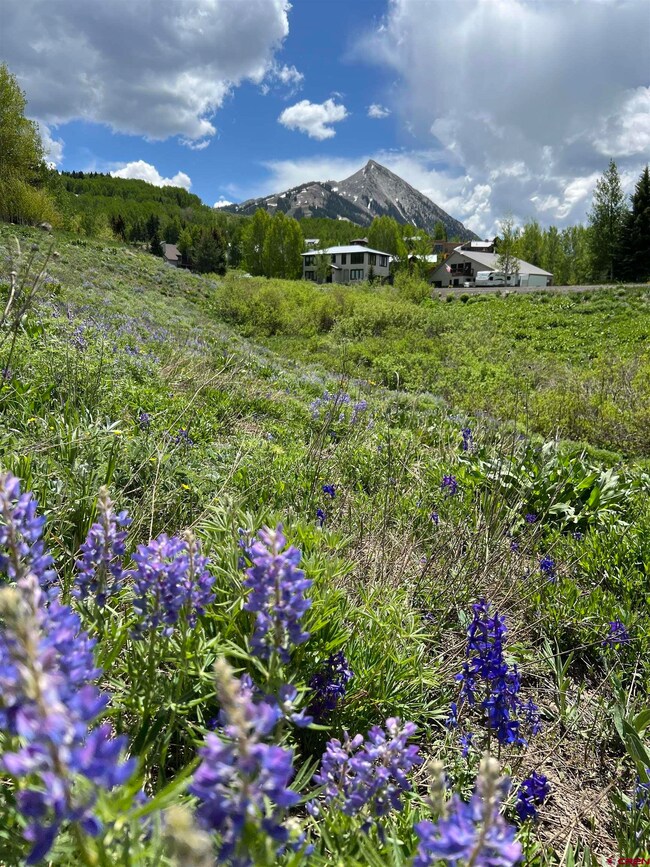 18 Cinnamon Mountain Rd, Mount Crested Butte, CO 81225 - photo 2
