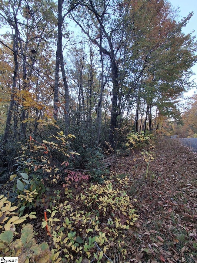 0 Eastview Dr, Pickens, SC 29671 - photo 2