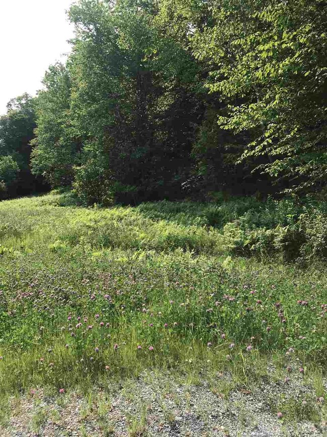 7748 Vermont 100, Readsboro, VT 05350 - photo 2
