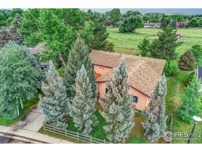 7740 Manila Place, Niwot, CO 80503 - photo 2