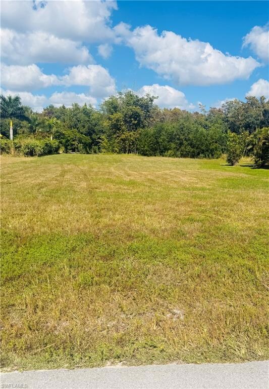 18139 Royal Hammock Blvd, Naples, FL 34114 - photo 3