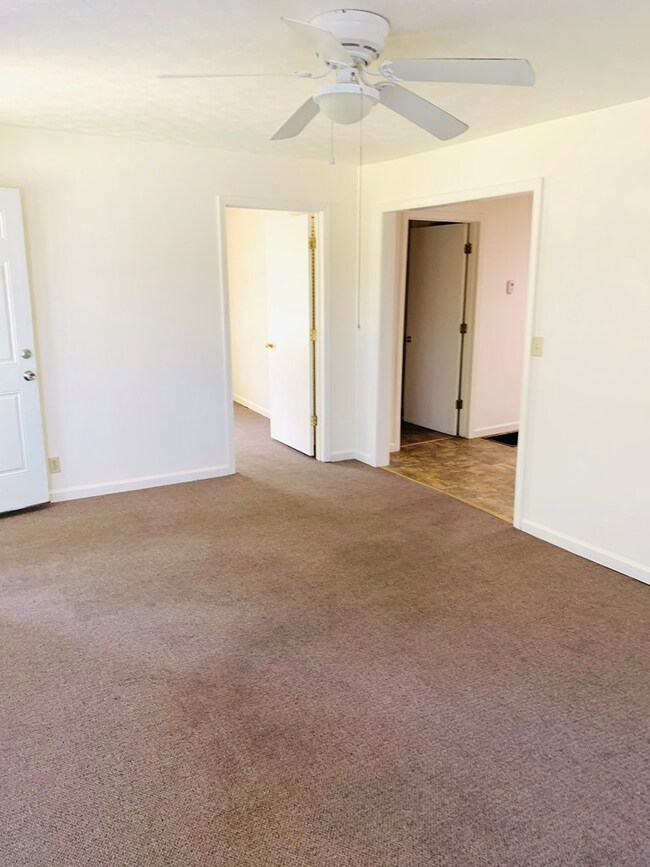 126 Bostick Dr, Hopkinsville, KY 42240 - photo 5