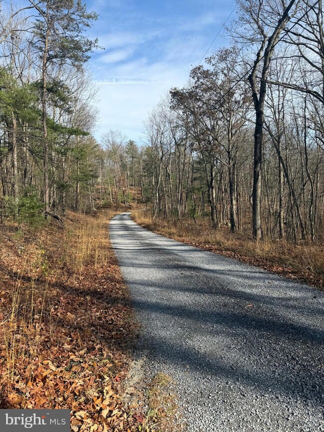 0 6 Edwards Run Rd unit WVHS2007094, Capon Bridge, WV 26711 - photo 3