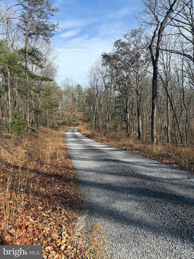 6 Cooper Mountain View Dr, Capon Bridge, WV 26711 - photo 3