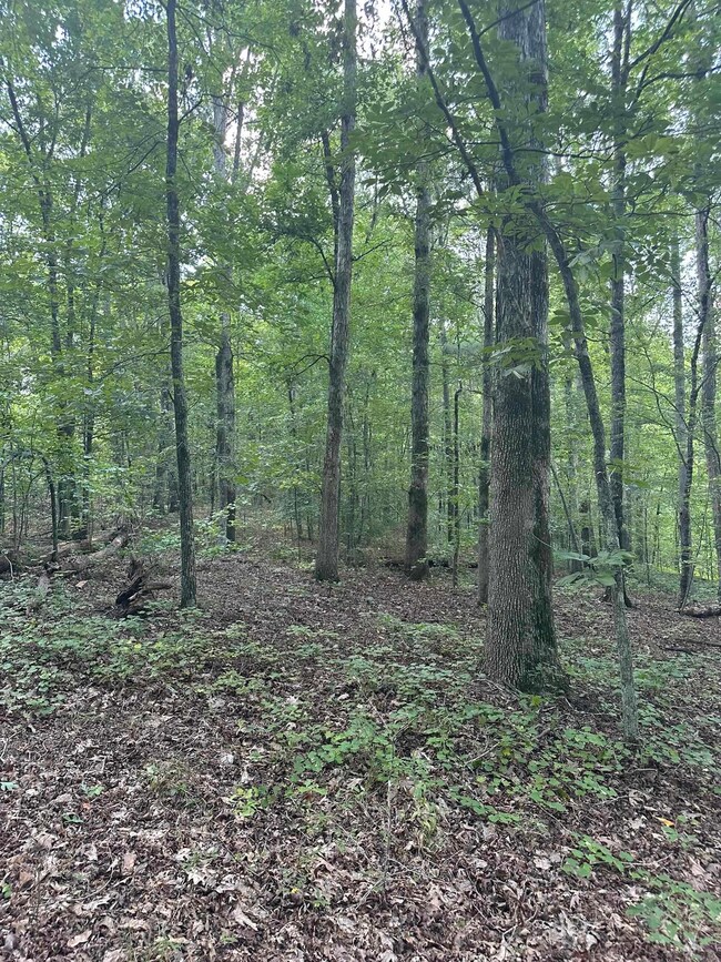 0 Fears Rd unit 69810, Madison, GA 30650 - photo 2