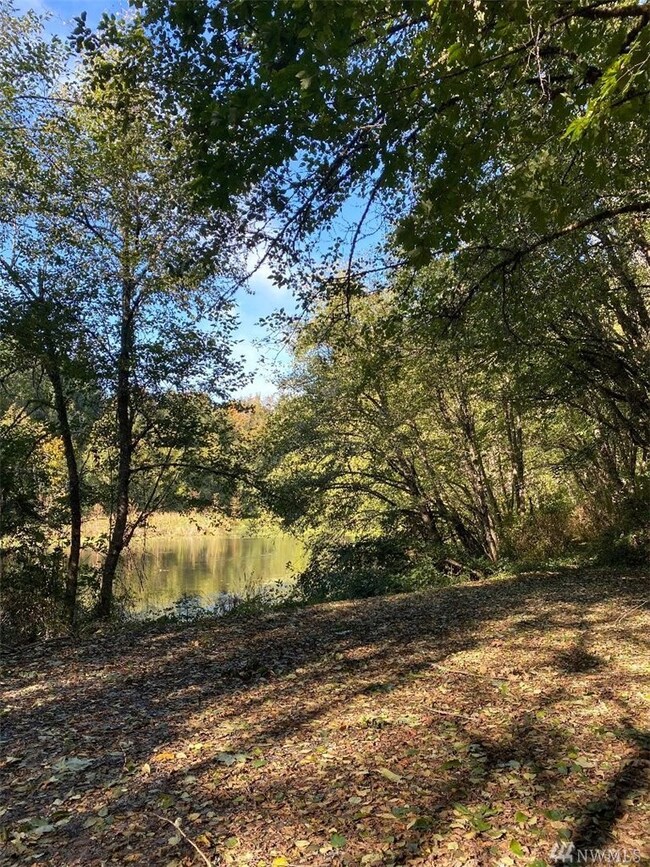 23310 148th Avenue Ct E, Orting, WA 98360 - photo 7