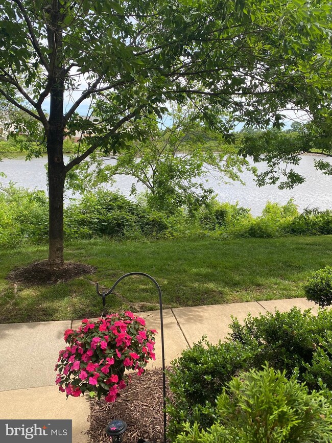 42770 Longworth Terrace, Chantilly, VA 20152 - photo 5