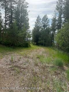 11 & 12 Windsong, Alpine, WY 83128 - photo 3