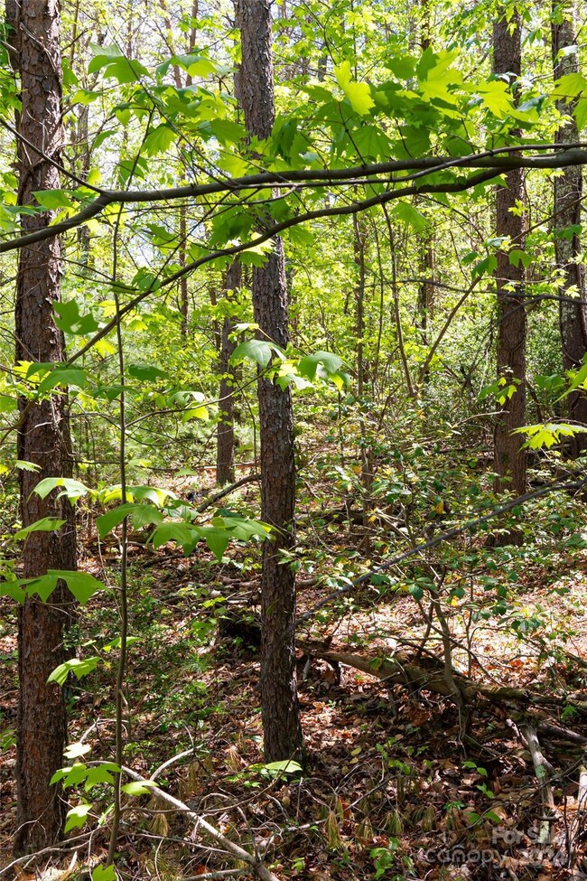 Lots #10 & 11 Holly Hill Ct, Asheville, NC 28806 - photo 7