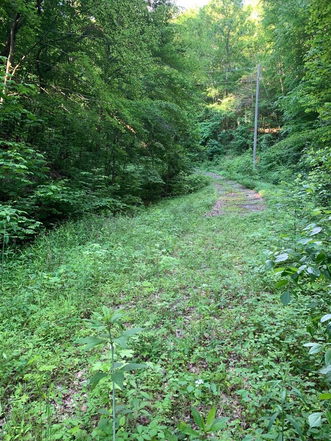 7F5BF880-DE35-4B0D-A5DA-7BCB46625CF9