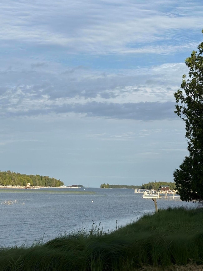 1665 S Forest Ln, Cedarville, MI 49719 - photo 6