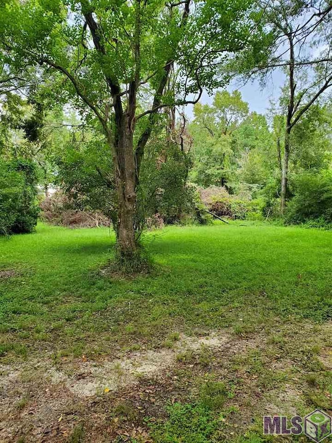 31460 La Hwy 16, Denham Springs, LA 70726 - photo 3