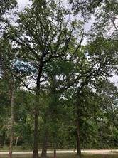 21441 Roberts Cemetery Rd, Hockley, TX 77377 - photo 4