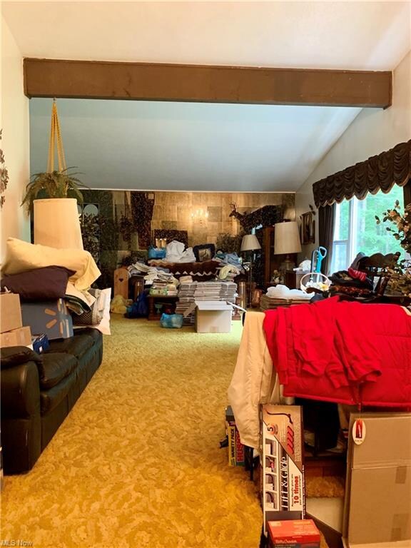 9110 Crackel Rd, Chagrin Falls, OH 44023 - photo 5