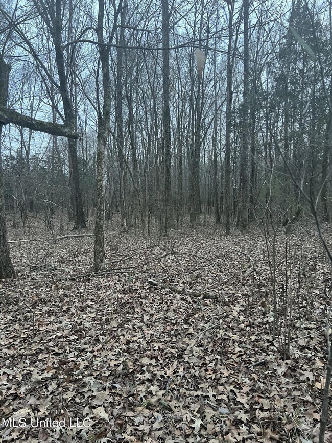 F8A7488E-7046-4171-9E1B-7ABA102C22D6