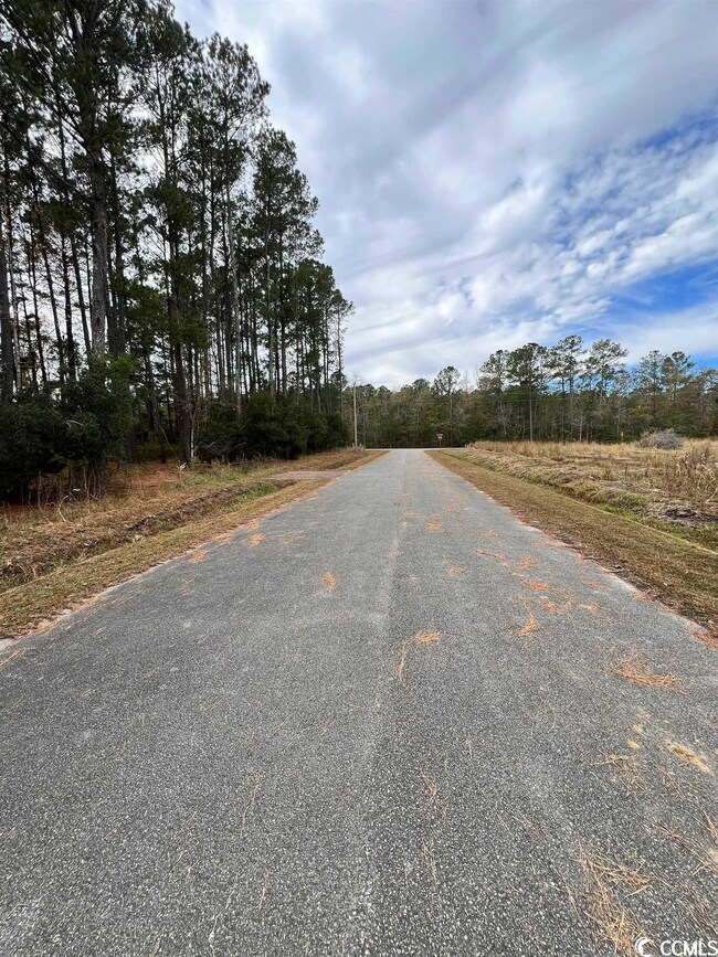 Lot 19 Alligator Ct, Conway, SC 29526 - photo 4