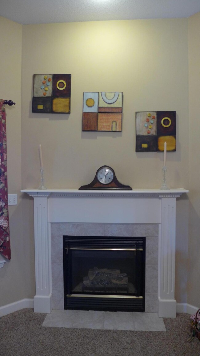 Gas fireplace