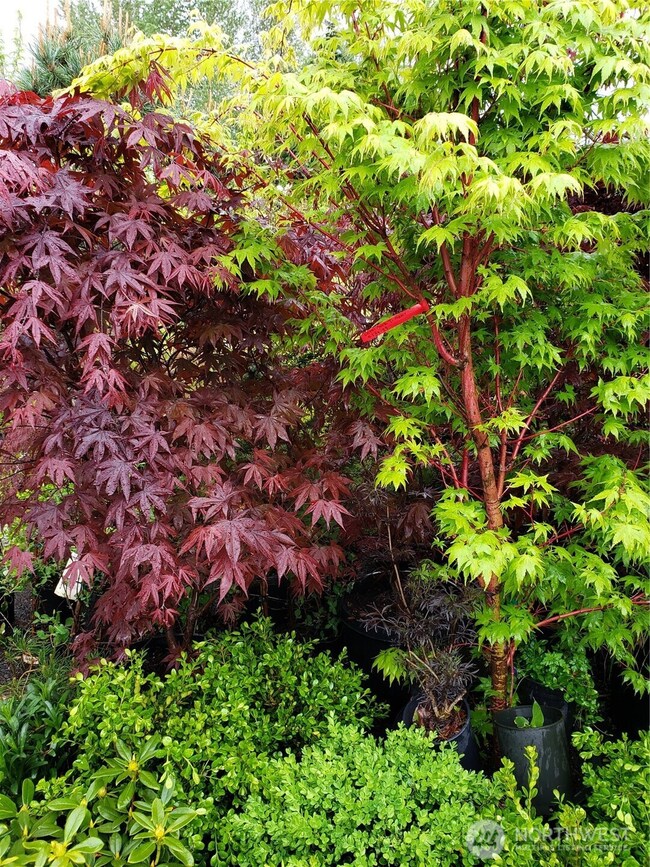 379 Collins Rd unit 18, Toledo, WA 98591 - photo 6