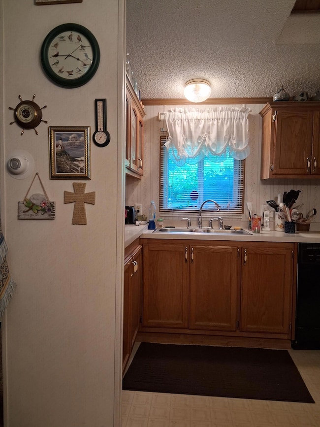 675 N Dade 181, Greenfield, MO 65661 - photo 6