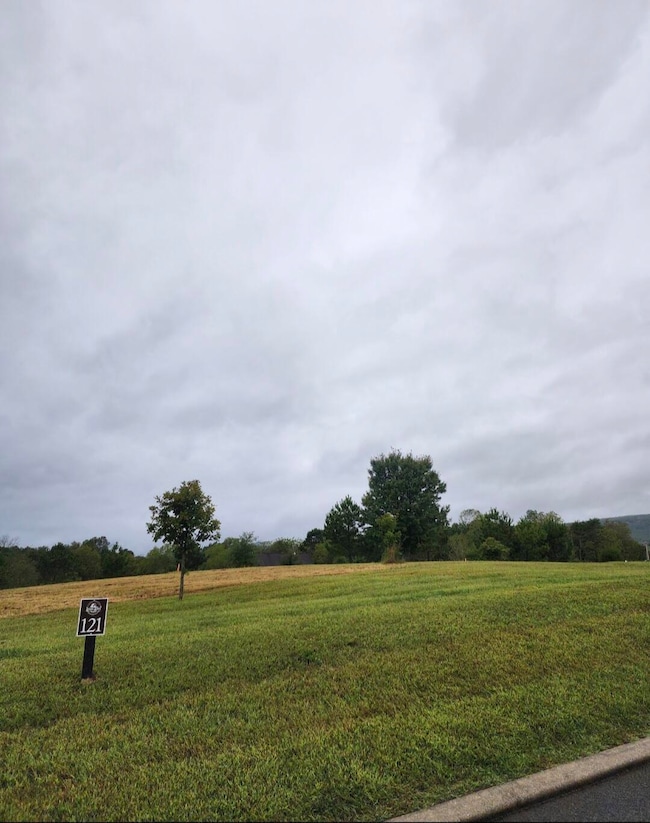 121 River Dr, Dunlap, TN 37327 - photo 2