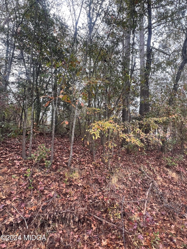 000 Evergreen Cir, Ivey, GA 31031 - photo 2