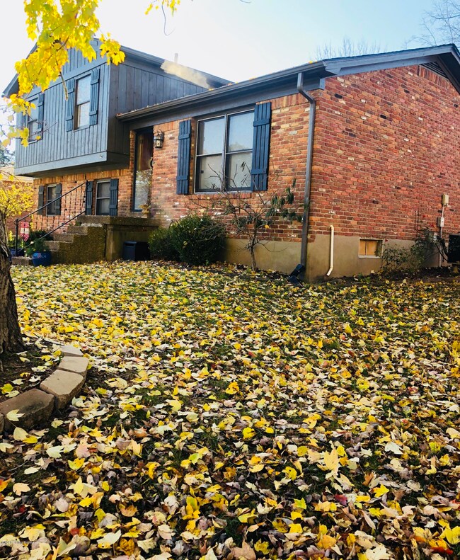 FB43C5EB-3669-4CDF-B6B4-376466260F84