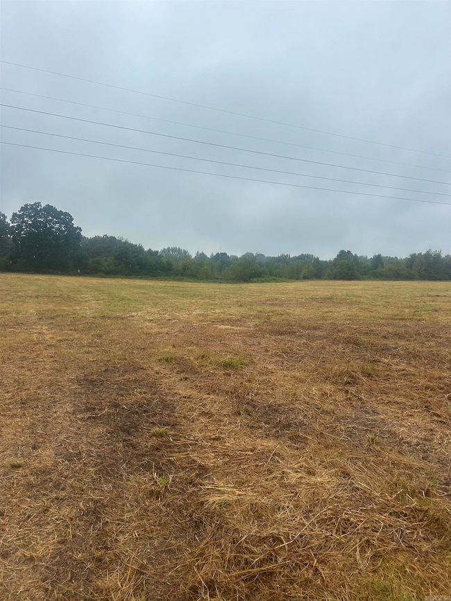 124 Pangburn Rd, Pangburn, AR 72121 - photo 3