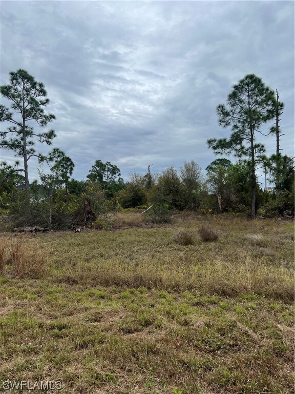 767 Bianca Ave S, Lehigh Acres, FL 33974 - photo 3