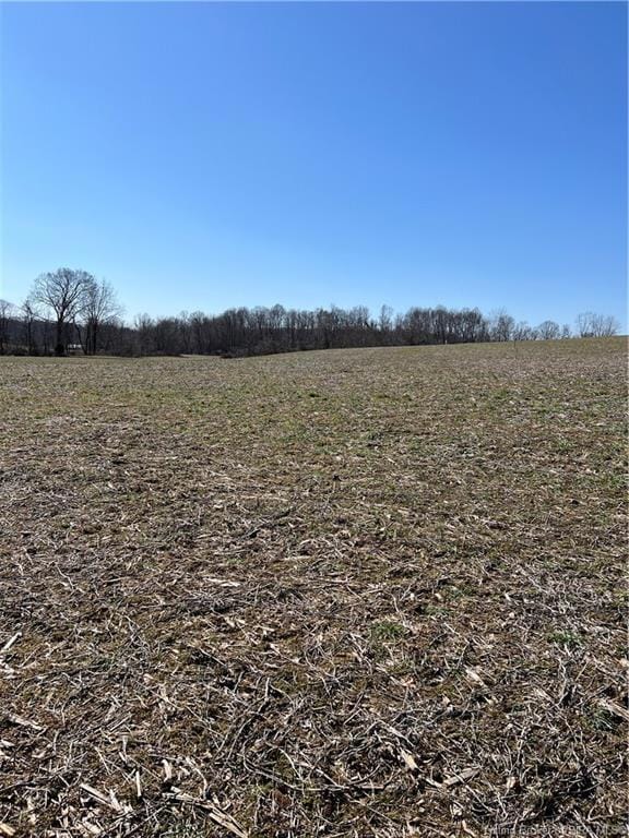 0 Coffman Rd, Wood Township, IN 47106 - photo 5