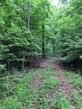 0 Sleepy Gap Rd unit 6 3461549, Arden, NC 28704 - photo 2