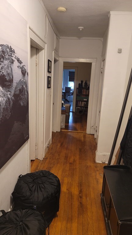 36 Boulevard Terrace unit 1, Allston, MA 02134 - photo 4