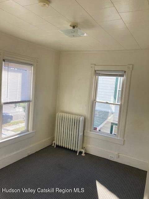 61 Downs St, Kingston, NY 12401 - photo 6