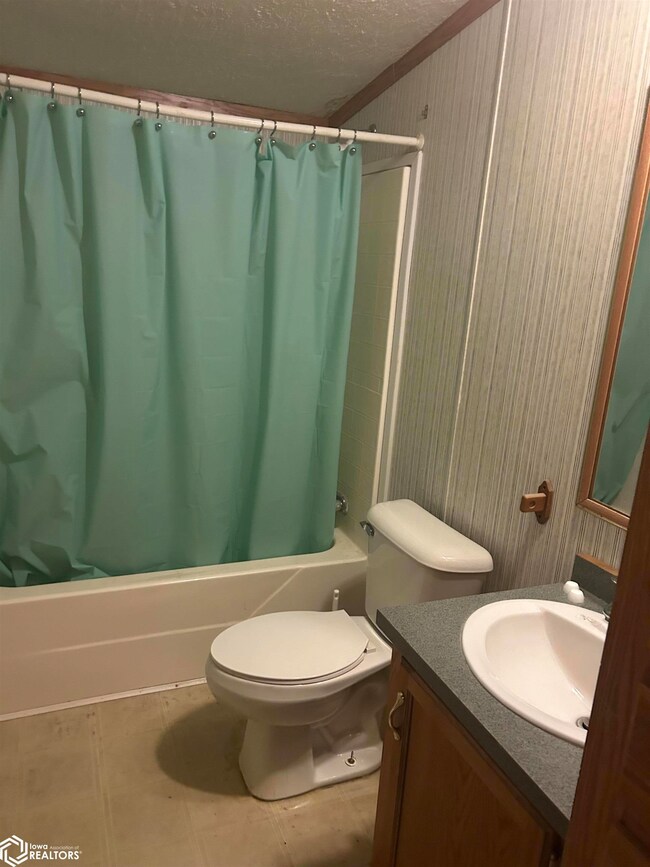 180 Railway St, Ferguson, IA 50078 - photo 6