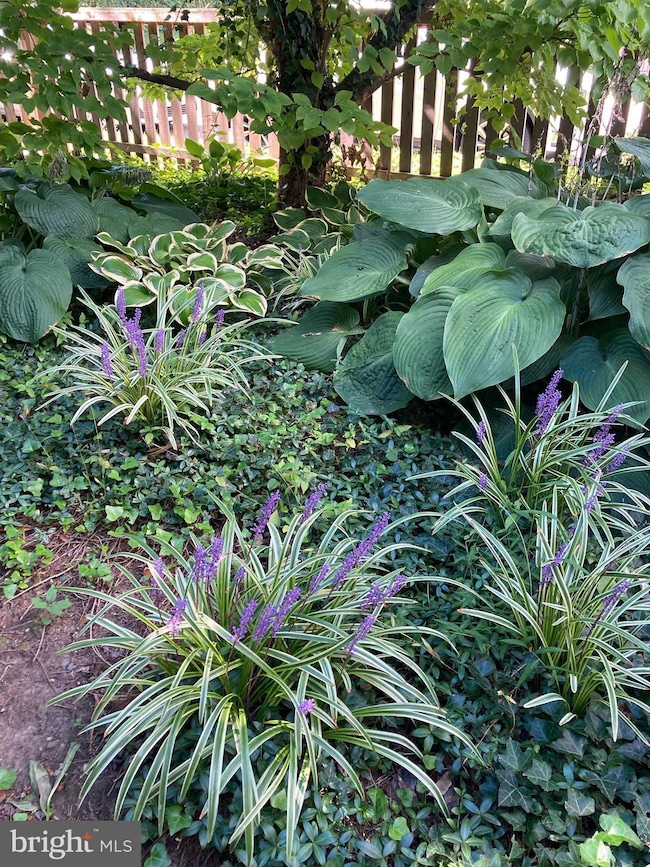 6733 N 8th St, Philadelphia, PA 19126 - photo 7