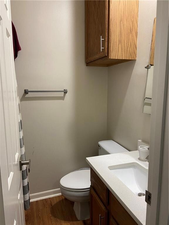 Bathroom featuring wood finished floors and vanity